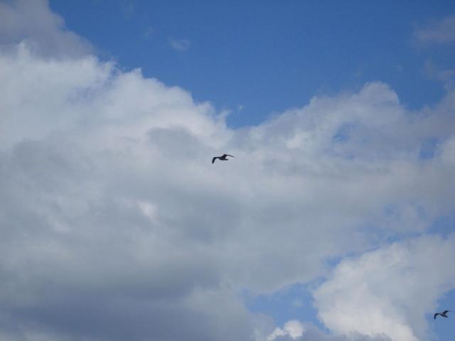 30-Muschelsucher-M_wen _13_.jpg