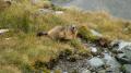 03-064-Alpentour-2009_09_12-Österreich-Heiligenblut-AUT