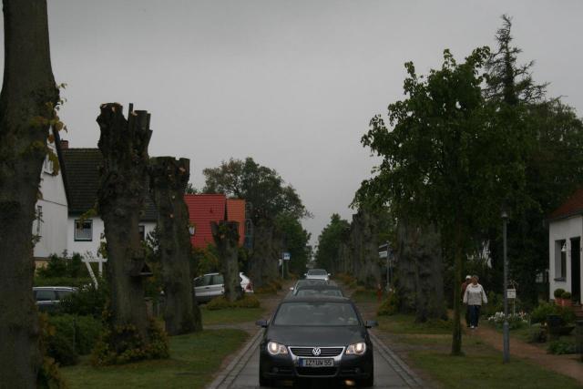 IMG_8357.JPG